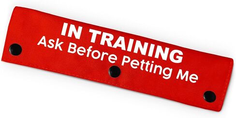 I Need Space Do Not Approach Pet Leash for Dogs, Funny Dog Leash Wrap for Pet Dog Lovers Owners Gift (Red) in Saudi Arabia