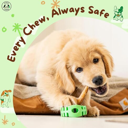 EverChew | Made in USA Bully Stick Holders & Premium All-Natural Bully Stick Starter Packs (SafetyChew & 1 Regular 6" Stick | <16 lbs) in Saudi Arabia