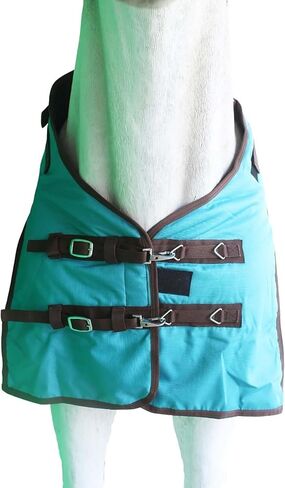 1200D الإقبال خفيفة الوزن Bellyband المطر الحصان الشتاء بطانية ورقة 388B in Saudi Arabia