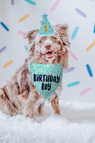 Dog Birthday Bandana + Hat, Pink Birthday Decorations for Girl, Dog Birthday Party Supplies with Hat Bandana Numbers for Large Medium Girl Pets Puppy (Pink, One Size) in Kuwait