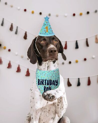 Dog Birthday Bandana + Hat, Pink Birthday Decorations for Girl, Dog Birthday Party Supplies with Hat Bandana Numbers for Large Medium Girl Pets Puppy (Pink, One Size) in Kuwait