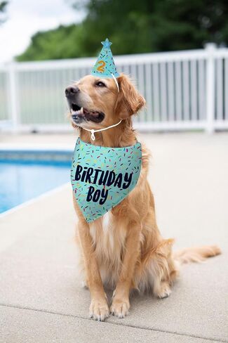 Dog Birthday Bandana + Hat, Pink Birthday Decorations for Girl, Dog Birthday Party Supplies with Hat Bandana Numbers for Large Medium Girl Pets Puppy (Pink, One Size) in Kuwait