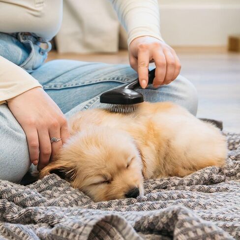 Puppy Love Gentle Bath & Grooming Set by Tweezerman & Veterinary Formula – Tearless Puppy Shampoo with 2-in-1 Bath Brush & Small Slicker Brush – Complete Bath Kit for Small Dogs & Puppies in Saudi Arabia