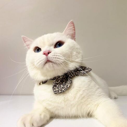 Cat Collar, 3-in-1 Cat Collar, Adjustable, Handmade Cotton, Bowtie & Ribbon Design (Leopard, Multicolor) in Saudi Arabia