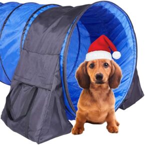 Dog Agility Equipment, Tunnel Sandbags 4 Pack, Holding Bags Only, Training Tool Equipment, Outdoor Indoor in Kuwait
