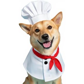 أزياء الهالوين للقطط، زي الشيف اللطيف للقطط، قبعة الشيف، ملابس الطهي للكلاب الأليفة، مقاس صغير (مجموعة من قطعتين) in Kuwait