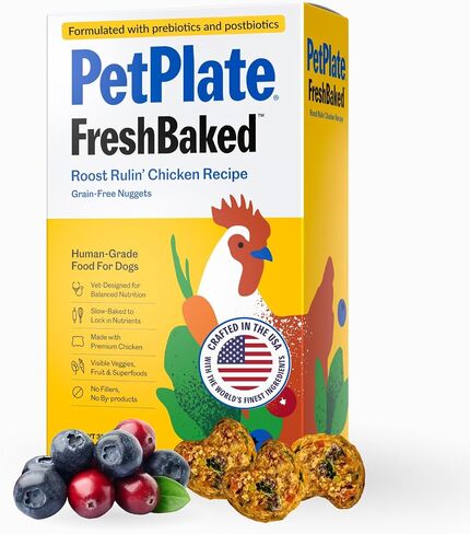 طعام الكلاب الجاف الطازج من PetPlate Roost Rulin' Chicken، طعام الكلاب المخبوز بلطف والمجفف بالهواء من الدرجة البشرية، مصنوع من البريبايوتكس والبوستبيوتيك، خالي من الحبوب، بدون مواد مالئة أو منتجات ثانوية، 2 رطل in Saudi Arabia