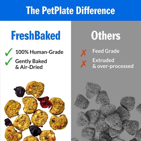 طعام الكلاب الجاف الطازج من PetPlate Roost Rulin' Chicken، طعام الكلاب المخبوز بلطف والمجفف بالهواء من الدرجة البشرية، مصنوع من البريبايوتكس والبوستبيوتيك، خالي من الحبوب، بدون مواد مالئة أو منتجات ثانوية، 2 رطل in Saudi Arabia