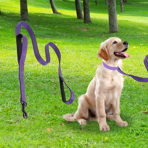Heavy Duty Dog Leash - 2 Handles by Padded Traffic Handle for Extra Control, 6foot Long - Perfect for Medium to Large Dogs in Saudi Arabia
