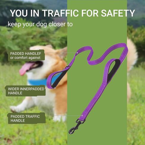 Heavy Duty Dog Leash - 2 Handles by Padded Traffic Handle for Extra Control, 6foot Long - Perfect for Medium to Large Dogs in Saudi Arabia