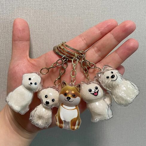 سلاسل مفاتيح لزجاجة تخزين شعر الكلب، هدية تذكارية لهواة التجميع، تذكار من فراء الحيوانات الأليفة 5 قطع مع 1 قطعة سلسلة مفاتيح بإطار معدني للصور (مزيج من الكلاب) in Kuwait