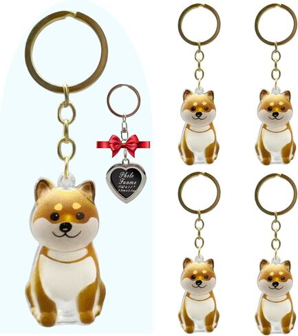 سلاسل مفاتيح لزجاجة تخزين شعر الكلب، هدية تذكارية لهواة التجميع، تذكار من فراء الحيوانات الأليفة 5 قطع مع 1 قطعة سلسلة مفاتيح بإطار معدني للصور (مزيج من الكلاب) in Kuwait