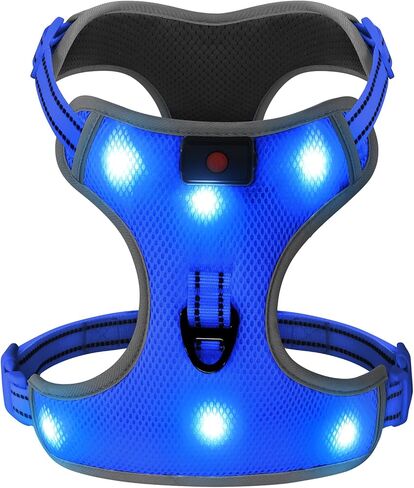 سرج مضيء للكلاب - صدرية آمنة للكلاب مزودة بإضاءة LED، سرج للكلاب مزود بإضاءة LED مانع للسحب، صدرية متوهجة قابلة لإعادة الشحن للحيوانات الأليفة للتخييم والمشي ليلاً (أزرق، كبير) in Kuwait