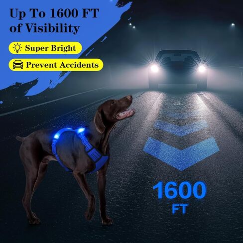 سرج مضيء للكلاب - صدرية آمنة للكلاب مزودة بإضاءة LED، سرج للكلاب مزود بإضاءة LED مانع للسحب، صدرية متوهجة قابلة لإعادة الشحن للحيوانات الأليفة للتخييم والمشي ليلاً (أزرق، كبير) in Kuwait