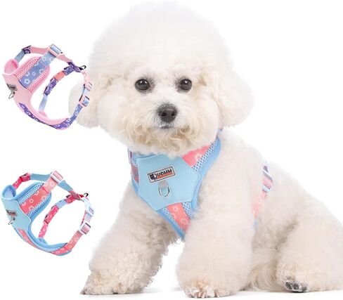Small Durable Dog Harness with Leash Set, Cute Mesh Puppy Harness, No Pull No Choke Escape Proof Pet Harness Easy Walking, Pink Dream S in Saudi Arabia