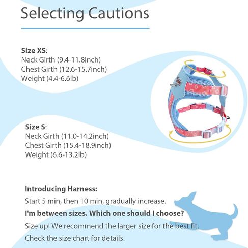 Small Durable Dog Harness with Leash Set, Cute Mesh Puppy Harness, No Pull No Choke Escape Proof Pet Harness Easy Walking, Pink Dream S in Saudi Arabia