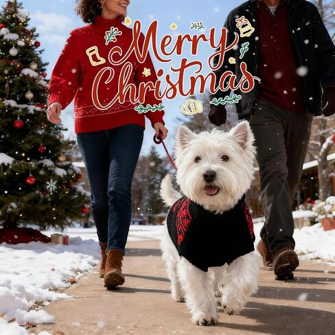SAWMONG Dog Christmas Sweater, Cable Knit Christmas Pet Sweater, Snowflake Pattern Thick Warm Winter Dog Sweaters, Pet Sweaters for Small Medium Large Dogs(Green, L) in Saudi Arabia