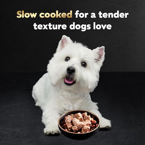 Cesar Wet Dog Food Classic Loaf in Sauce Filet Mignon Flavor ، 3.5 Oz. صواني قشر سهلة (24 عدد ، حزمة من 1) in Saudi Arabia