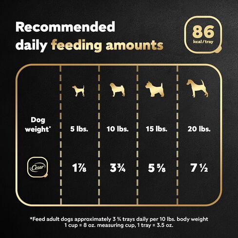 Cesar Wet Dog Food Classic Loaf in Sauce Filet Mignon Flavor ، 3.5 Oz. صواني قشر سهلة (24 عدد ، حزمة من 1) in Saudi Arabia