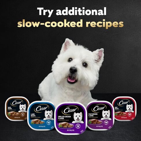Cesar Wet Dog Food Classic Loaf in Sauce Filet Mignon Flavor ، 3.5 Oz. صواني قشر سهلة (24 عدد ، حزمة من 1) in Saudi Arabia