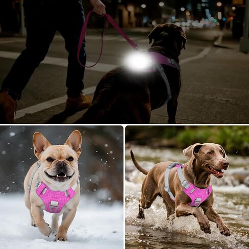 Joytale Light Up Dog Harness مع حامل Airtag، متعدد الألوان LED لا سحب الكلب تسخير قابلة للشحن للسلامة المشي ليلا، سترة خفيفة الوزن ناعمة قابلة للتعديل لتدريب الحيوانات الأليفة، الجري، Hotpink، M in Kuwait