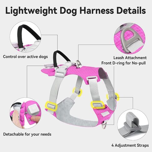 Joytale Light Up Dog Harness مع حامل Airtag، متعدد الألوان LED لا سحب الكلب تسخير قابلة للشحن للسلامة المشي ليلا، سترة خفيفة الوزن ناعمة قابلة للتعديل لتدريب الحيوانات الأليفة، الجري، Hotpink، M in Kuwait