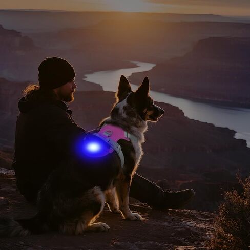 Joytale Light Up Dog Harness مع حامل Airtag، متعدد الألوان LED لا سحب الكلب تسخير قابلة للشحن للسلامة المشي ليلا، سترة خفيفة الوزن ناعمة قابلة للتعديل لتدريب الحيوانات الأليفة، الجري، Hotpink، M in Kuwait