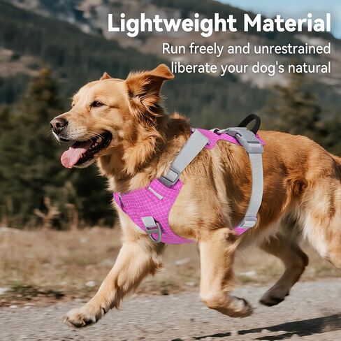 Joytale Light Up Dog Harness مع حامل Airtag، متعدد الألوان LED لا سحب الكلب تسخير قابلة للشحن للسلامة المشي ليلا، سترة خفيفة الوزن ناعمة قابلة للتعديل لتدريب الحيوانات الأليفة، الجري، Hotpink، M in Kuwait