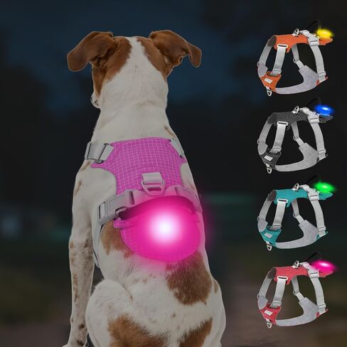 Joytale Light Up Dog Harness مع حامل Airtag، متعدد الألوان LED لا سحب الكلب تسخير قابلة للشحن للسلامة المشي ليلا، سترة خفيفة الوزن ناعمة قابلة للتعديل لتدريب الحيوانات الأليفة، الجري، Hotpink، M in Kuwait