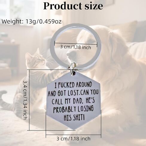 Humorous Engraved Pet ID Tag - Stainless Steel Dog & Cat Collar Tag, Funny Lost Tag for Personalized Pet Identification - Ideal Gift for Cat and Dog Owners (DAD) in Kuwait