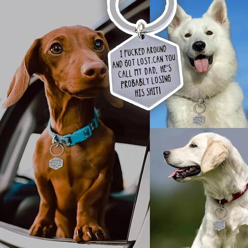 Humorous Engraved Pet ID Tag - Stainless Steel Dog & Cat Collar Tag, Funny Lost Tag for Personalized Pet Identification - Ideal Gift for Cat and Dog Owners (DAD) in Kuwait