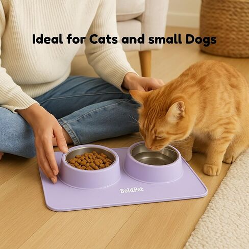 مجموعة أوعية طعام ومياه للكلاب - حصيرة سيليكون بتصميم غير قابل للانزلاق بدرجة الطعام - تتضمن أوعية للكلاب من الفولاذ المقاوم للصدأ قابلة للإزالة للكلاب الصغيرة - مجموعة أوعية مثالية للجراء - أوعية للحيوانات الأليفة للكلاب والقطط in Kuwait