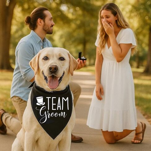 Brosash Pup of Honor Wedding Dog Bandana - وشاح مثلث من القطن الأبيض مع طباعة مخالب لطيفة - إكسسوار للحيوانات الأليفة لحفلات الزفاف، والخطوبة، والصور، وحفلات الاستقبال، وحفلات الزفاف، وفكرة هدايا الكلاب الحاملة للحلقات. in Kuwait