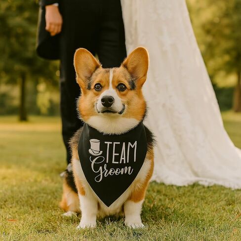 Brosash Pup of Honor Wedding Dog Bandana - وشاح مثلث من القطن الأبيض مع طباعة مخالب لطيفة - إكسسوار للحيوانات الأليفة لحفلات الزفاف، والخطوبة، والصور، وحفلات الاستقبال، وحفلات الزفاف، وفكرة هدايا الكلاب الحاملة للحلقات. in Kuwait