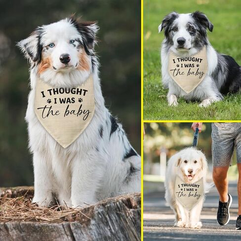 هدايا الحمل باندانا الكلب، اعتقدت أنني كنت الطفل الذي يكشف عن جنس الطفل، إكسسوارات وشاح مثلث للحيوانات الأليفة للكلاب الصغيرة والمتوسطة والكبيرة والقطط، إعلان الحمل، باندانا الكلب in Kuwait