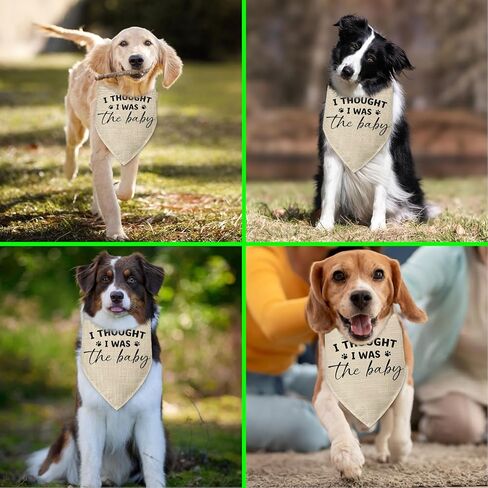 هدايا الحمل باندانا الكلب، اعتقدت أنني كنت الطفل الذي يكشف عن جنس الطفل، إكسسوارات وشاح مثلث للحيوانات الأليفة للكلاب الصغيرة والمتوسطة والكبيرة والقطط، إعلان الحمل، باندانا الكلب in Kuwait