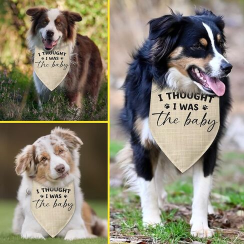 هدايا الحمل باندانا الكلب، اعتقدت أنني كنت الطفل الذي يكشف عن جنس الطفل، إكسسوارات وشاح مثلث للحيوانات الأليفة للكلاب الصغيرة والمتوسطة والكبيرة والقطط، إعلان الحمل، باندانا الكلب in Kuwait