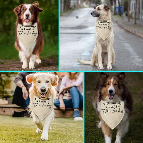 هدايا الحمل باندانا الكلب، اعتقدت أنني كنت الطفل الذي يكشف عن جنس الطفل، إكسسوارات وشاح مثلث للحيوانات الأليفة للكلاب الصغيرة والمتوسطة والكبيرة والقطط، إعلان الحمل، باندانا الكلب in Kuwait