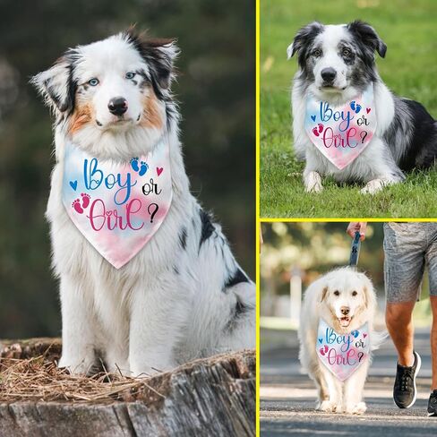 Pregnancy Gifts Dog Bandana I Thought I was The Baby Gender Reveal Pet Triangle Scarf Accessories for Small Medium Large Dogs Cats Pregnancy Announcement Dog Bandana in Kuwait