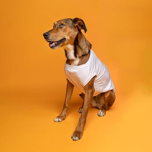 تي شيرت للكلاب من White Paw Hard Lick-er Moody Mango | سلالات بلا أكمام | الهالوين المضحك | علبة سباركلنج ساخرة | أبيض، 6X-Large 1383 in Kuwait