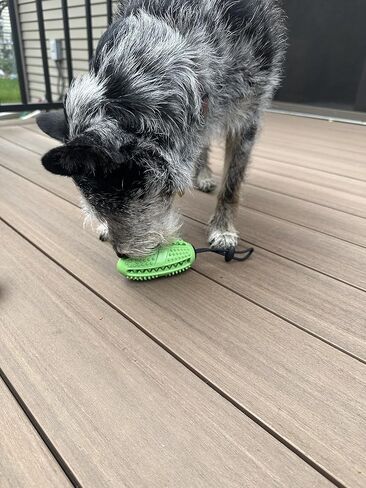 موزع حلوى لعبة كرة القدم للمضغ للكلاب (متوسط) in Kuwait