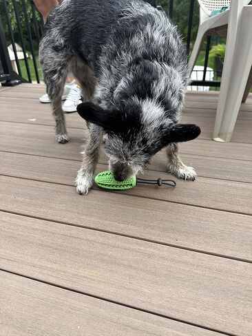 موزع حلوى لعبة كرة القدم للمضغ للكلاب (متوسط) in Kuwait