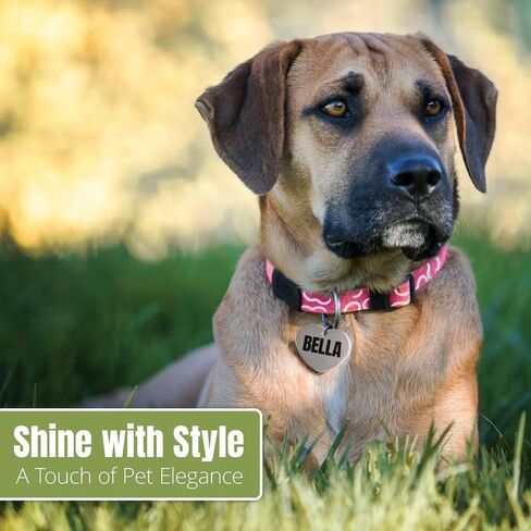 Dog Tags ID Engraved for Pets Personalized Engraved Custom Dog Tags Personalized ID Tags Engraved on Both Sides 48 Types of Tags in Saudi Arabia
