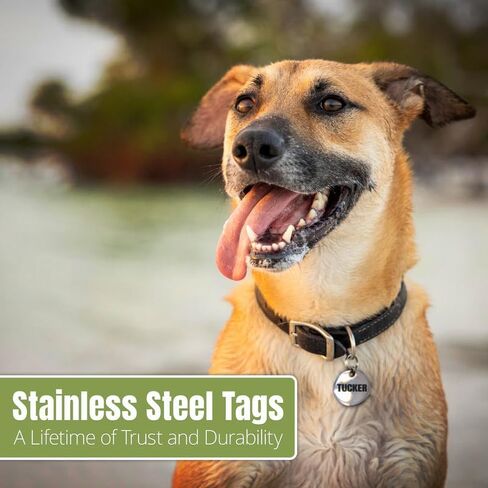 Dog Tags ID Engraved for Pets Personalized Engraved Custom Dog Tags Personalized ID Tags Engraved on Both Sides 48 Types of Tags in Saudi Arabia