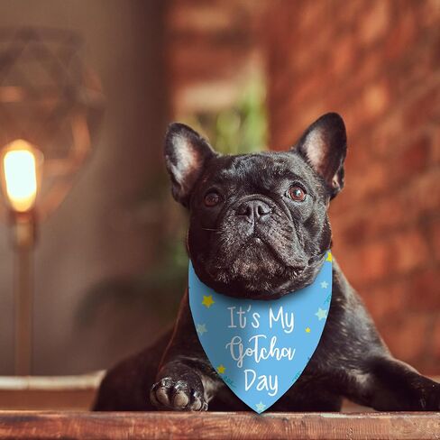 It's My Gotcha Day Dog Bandana، لوازم حفلات أعياد الميلاد، دعائم الصور للحيوانات الأليفة، وشاح مثلث لطيف ومضحك للكلاب المتوسطة الكبيرة، هدايا لمحبي الكلاب (أزرق) in Kuwait