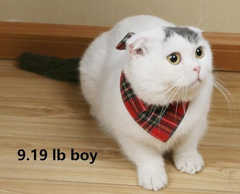 Red Checkered Cat Bandana Plaid Dog Scarf for Extral Small Pets 15.6" in Saudi Arabia