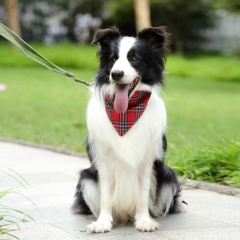 Red Checkered Cat Bandana Plaid Dog Scarf for Extral Small Pets 15.6" in Saudi Arabia