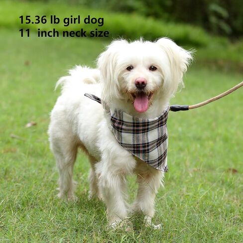 Red Checkered Cat Bandana Plaid Dog Scarf for Extral Small Pets 15.6" in Saudi Arabia