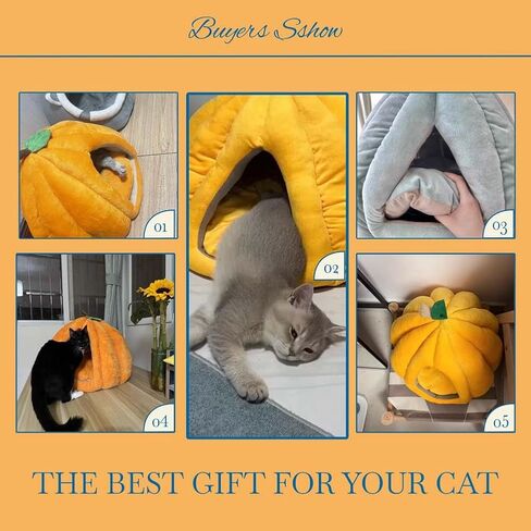 Cute Pumpkin Cat Bed for Indoor Cats，Pumpkin Shape Cat House with Removable Washable Cushioned Pillow，Cat Cave Bed Cat Tent for Puppy and Kitten (Blue,23 in) in Saudi Arabia