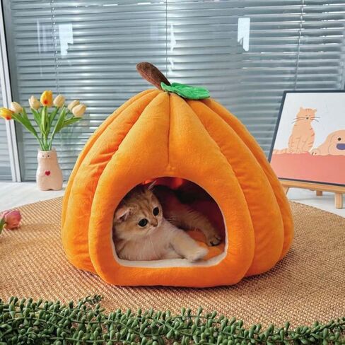 Cute Pumpkin Cat Bed for Indoor Cats，Pumpkin Shape Cat House with Removable Washable Cushioned Pillow，Cat Cave Bed Cat Tent for Puppy and Kitten (Blue,23 in) in Saudi Arabia